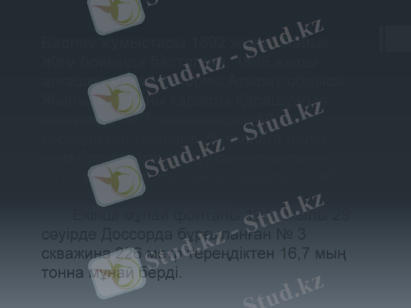 Slide 8