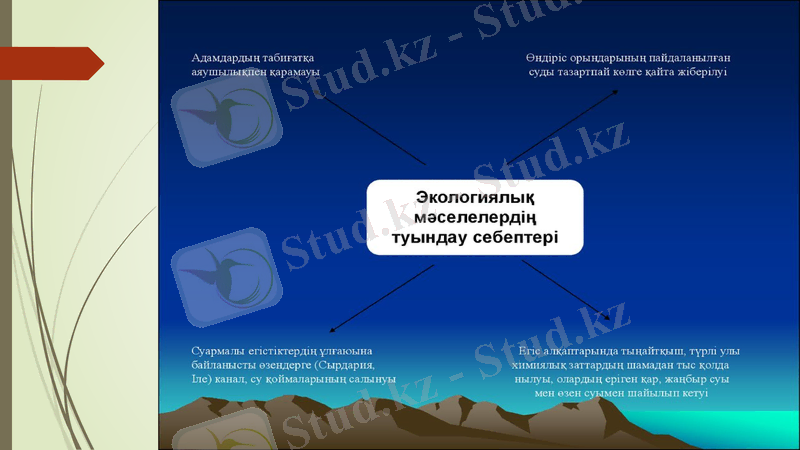 Slide 13