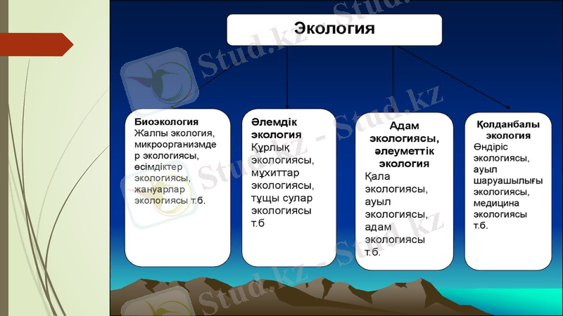 Slide 15