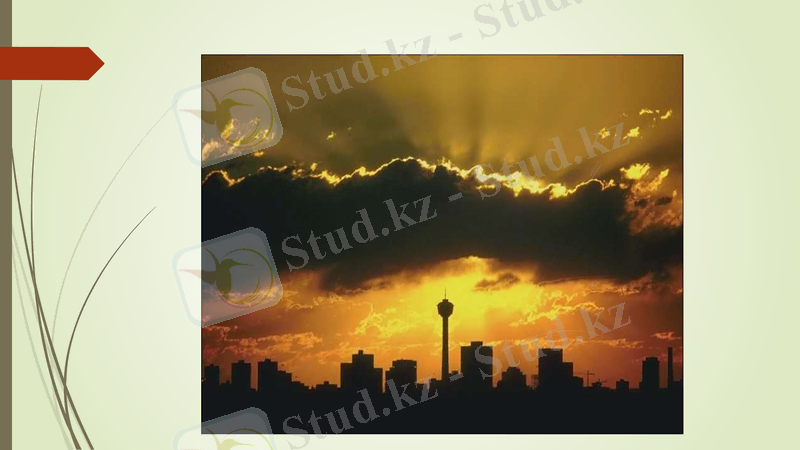 Slide 7
