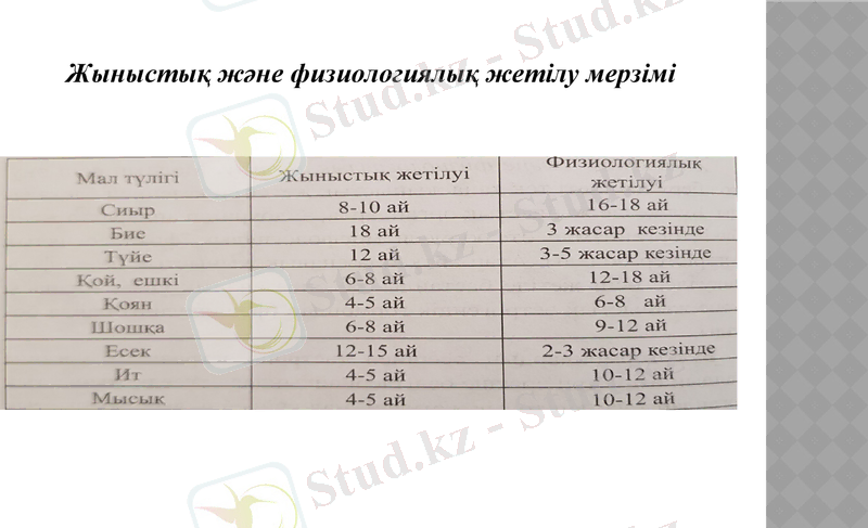 Slide 12