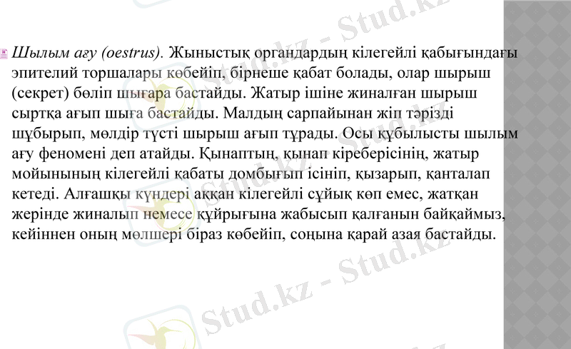 Slide 17