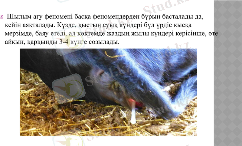 Slide 18