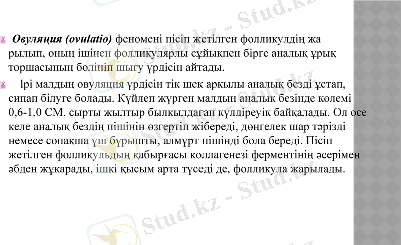 Slide 23