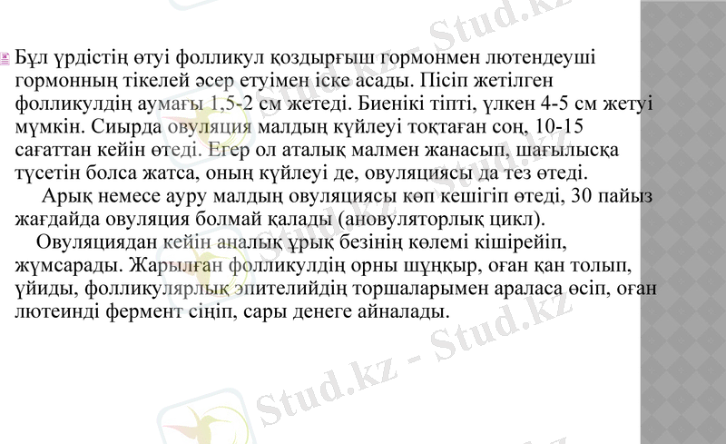 Slide 24