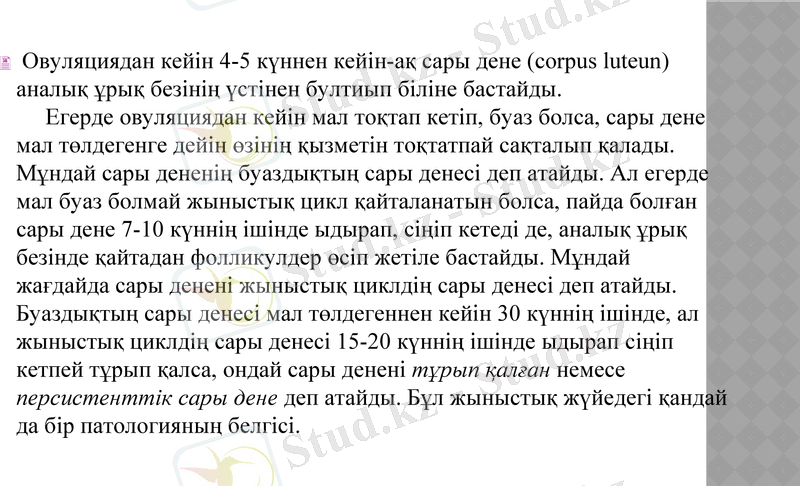 Slide 25