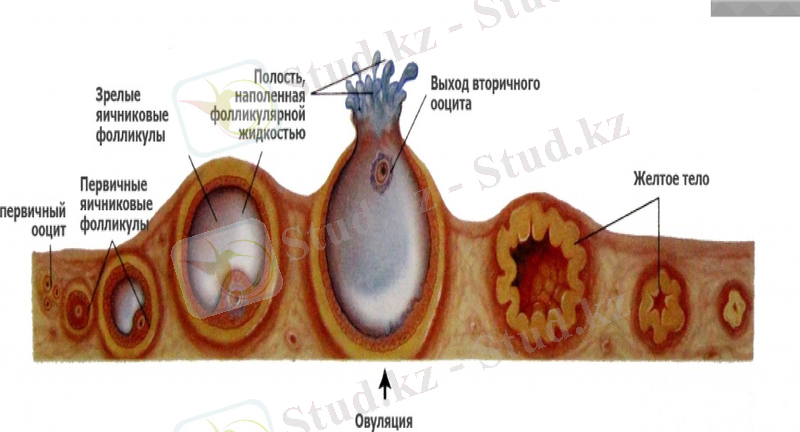 Slide 26