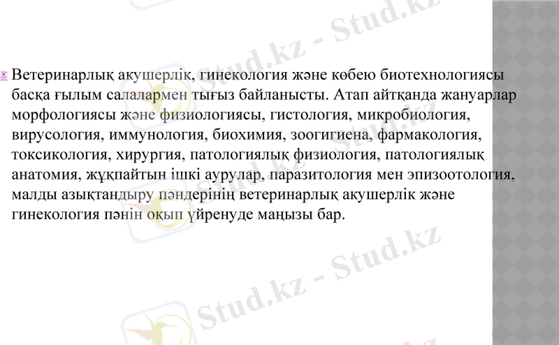 Slide 6