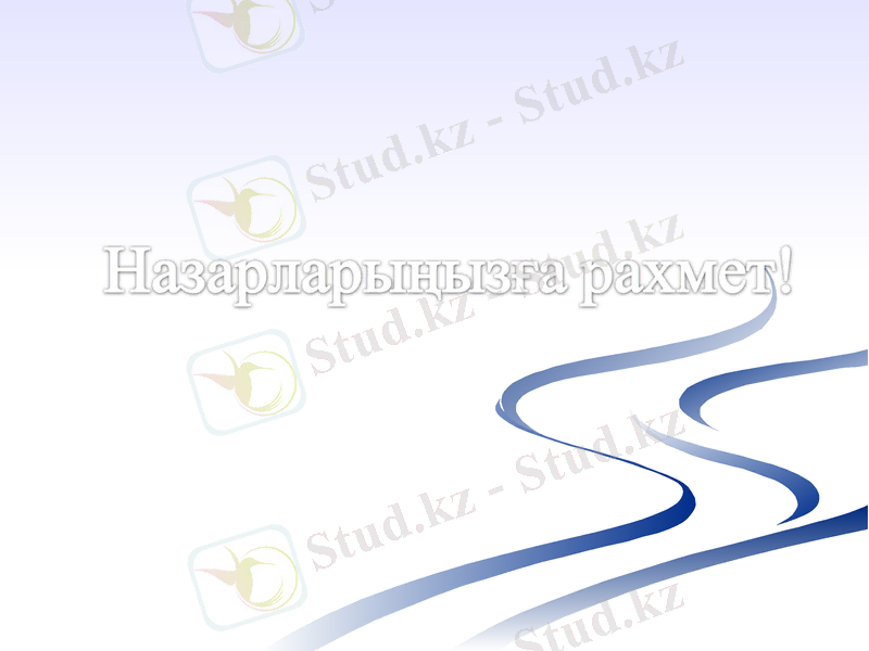 Slide 11