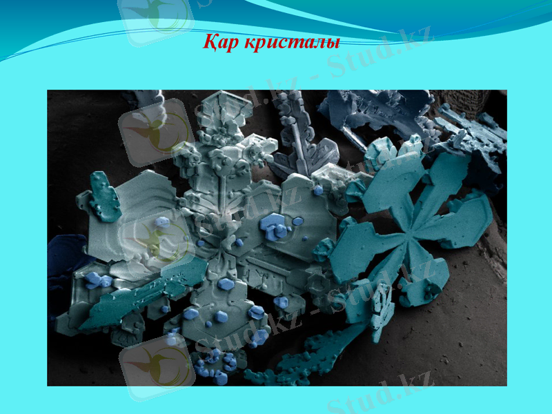 Slide 21