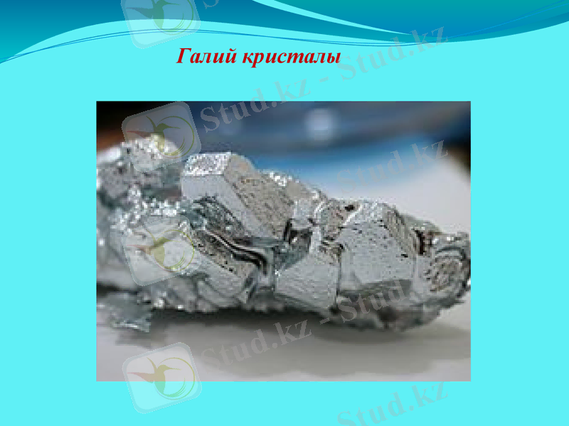 Slide 24