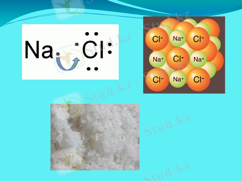 Slide 7