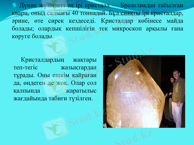 Slide 9