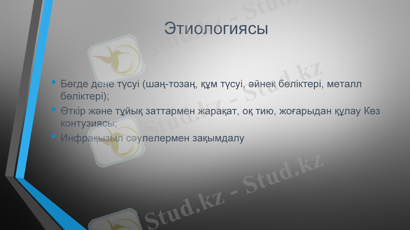 Slide 5