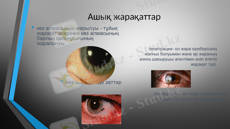 Slide 6