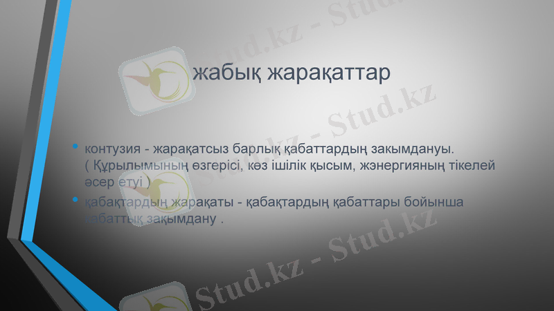 Slide 7