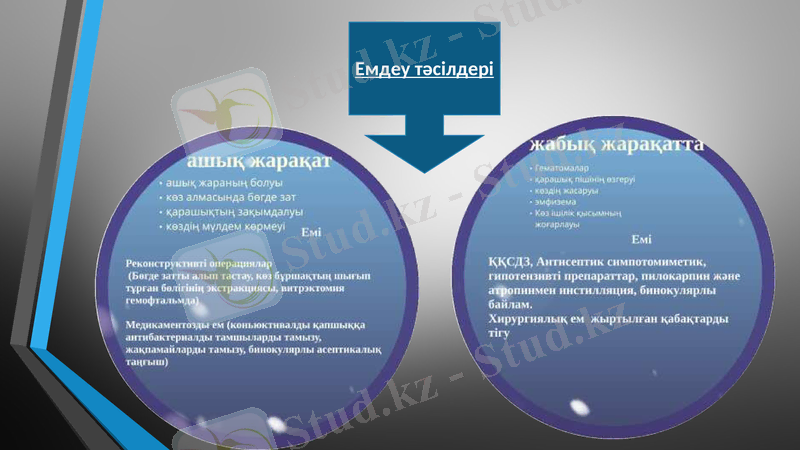Slide 9