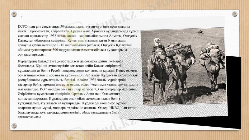 Slide 7