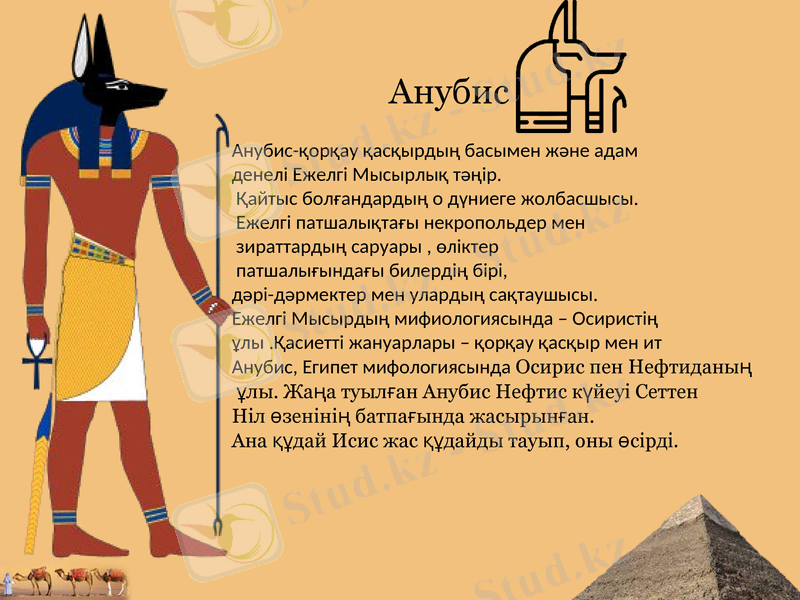 Slide 11