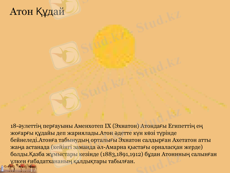 Slide 5