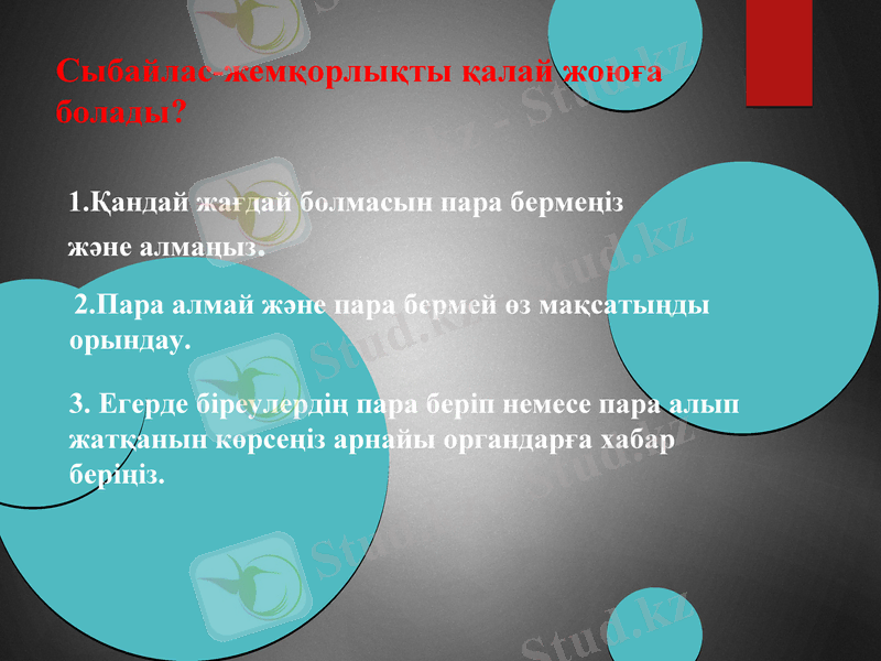 Slide 7