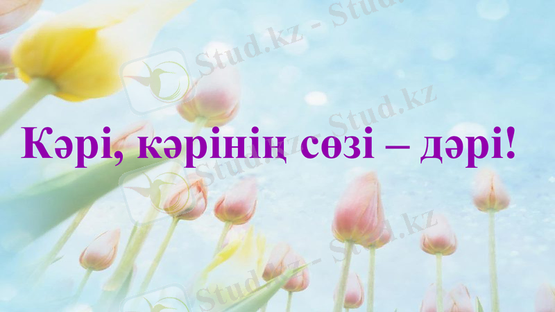 Slide 17