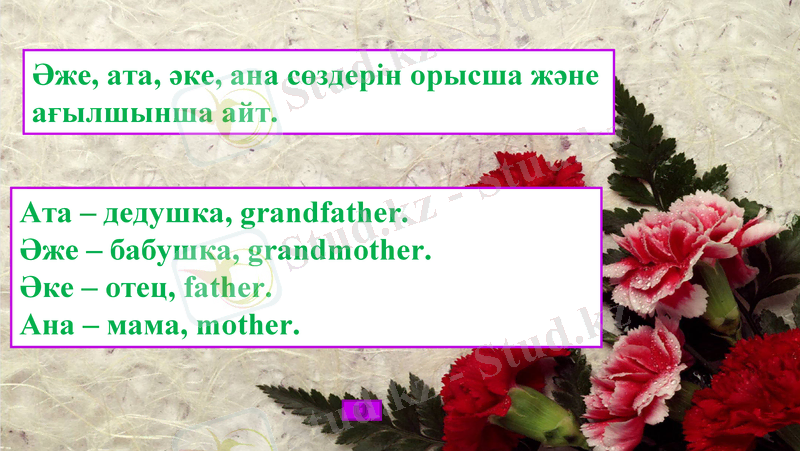 Slide 24