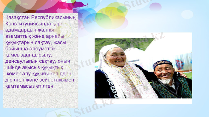 Slide 8