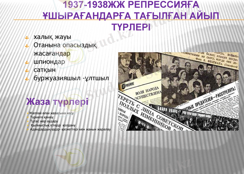 Slide 6