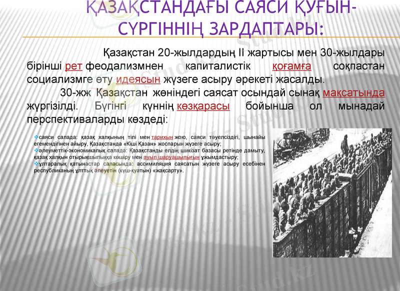 Slide 7