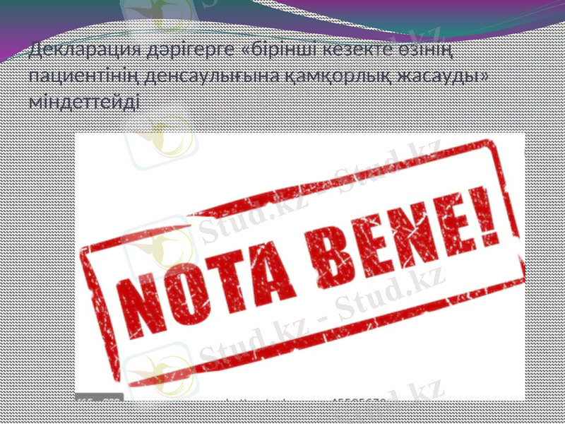 Slide 8