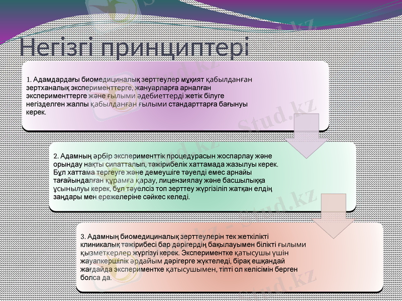 Slide 9
