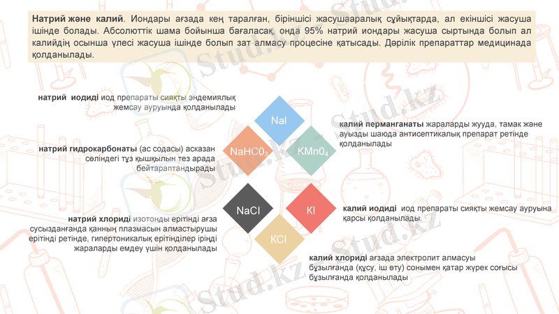 Slide 5
