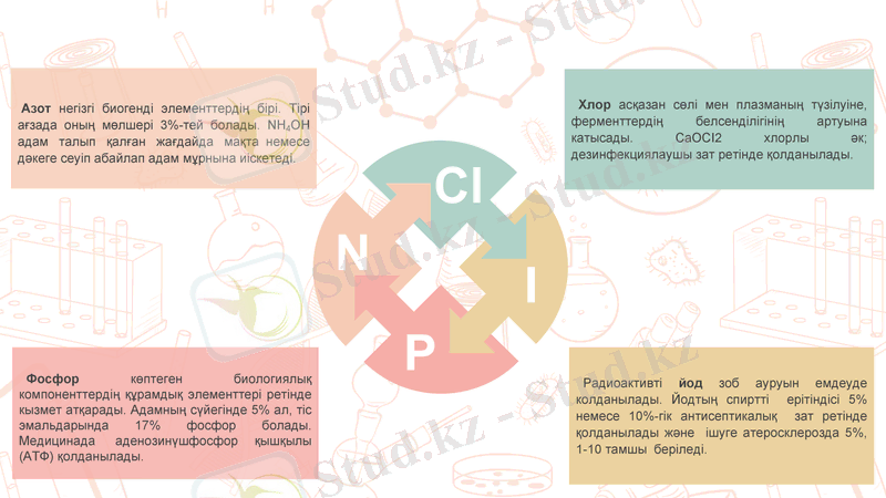 Slide 7