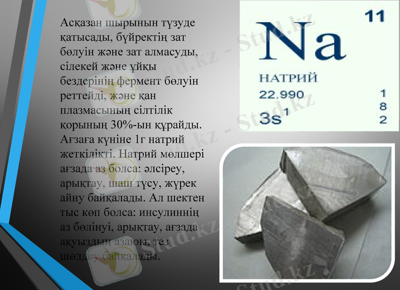 Slide 10