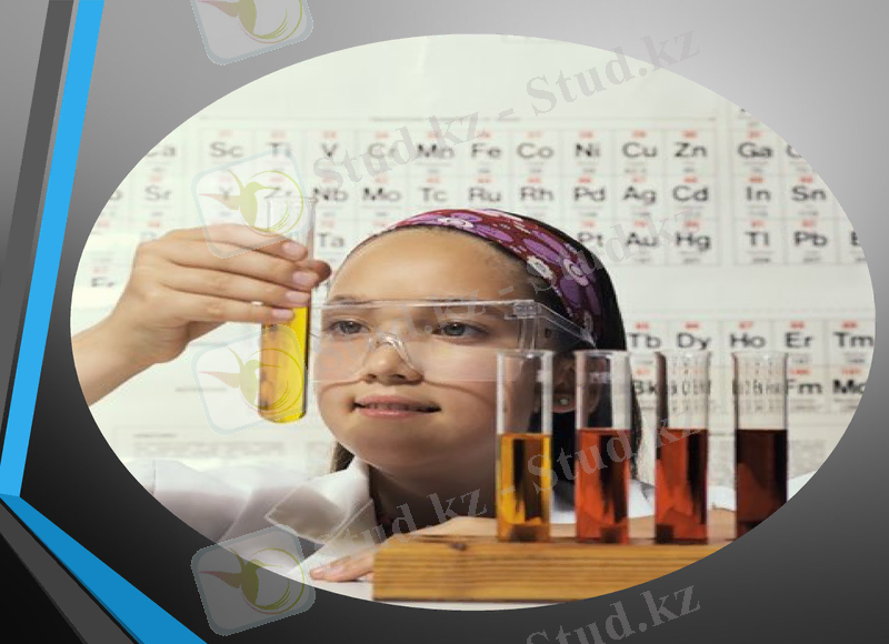 Slide 12