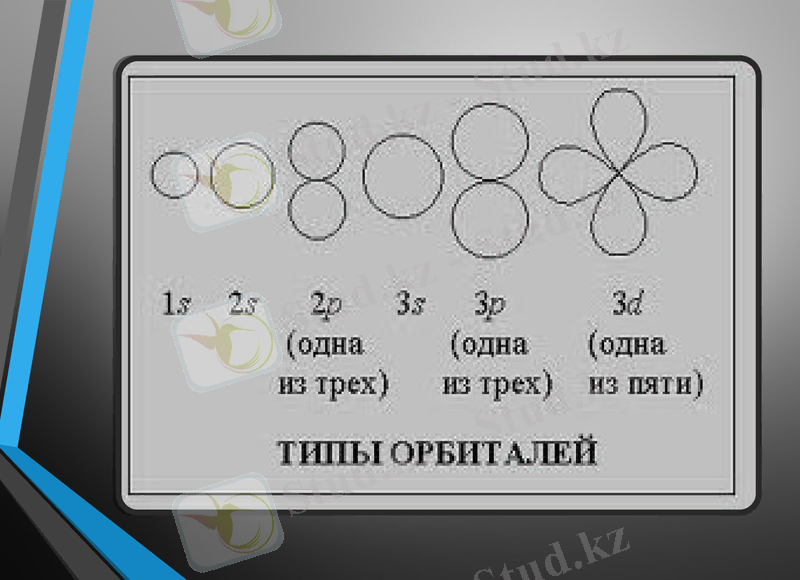 Slide 6