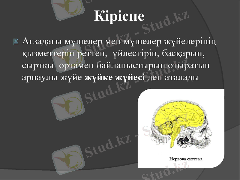 Slide 1
