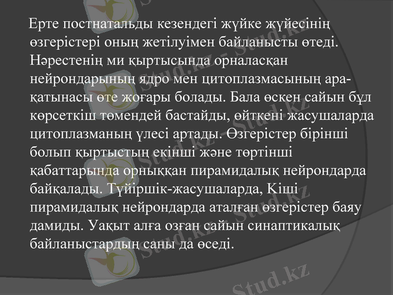 Slide 12
