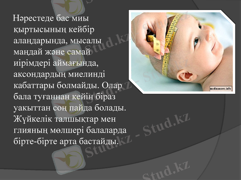 Slide 13