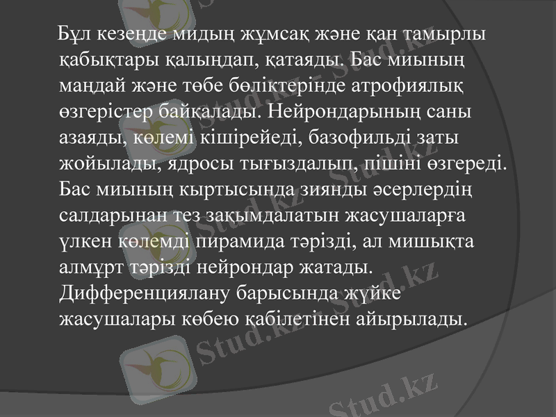 Slide 15