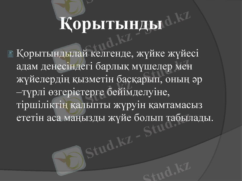 Slide 17