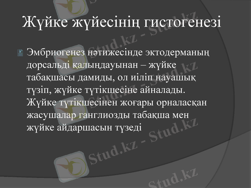 Slide 3