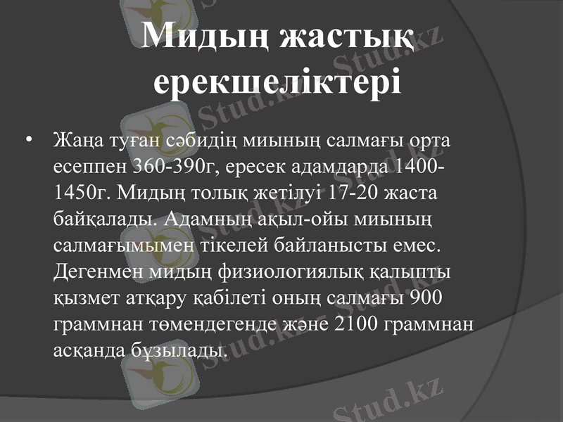 Slide 6