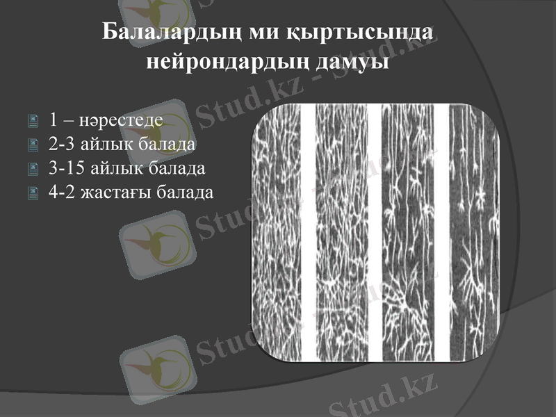 Slide 8
