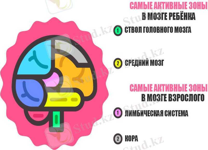 Slide 9