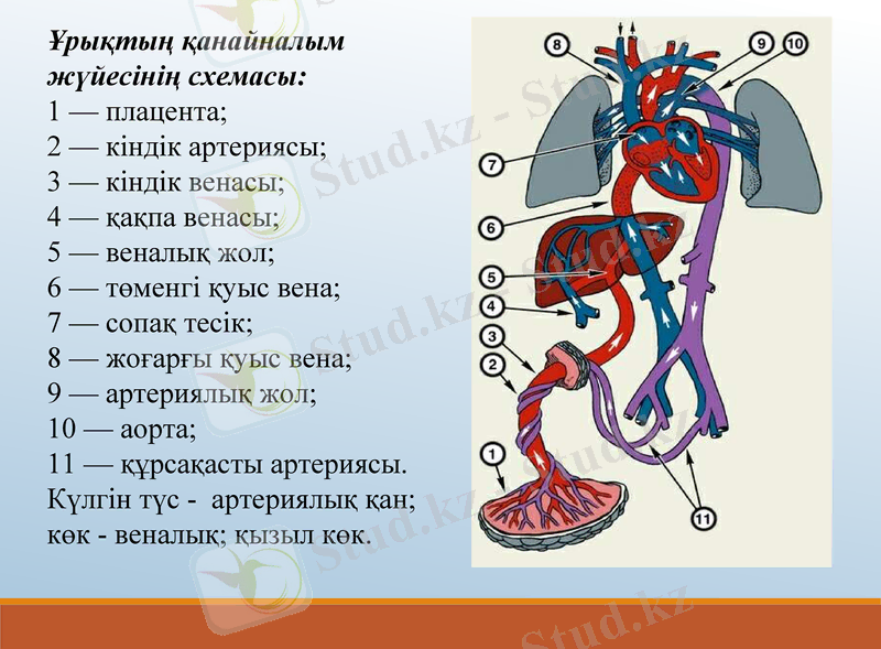 Slide 10