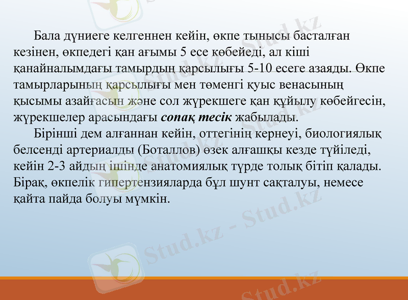 Slide 13