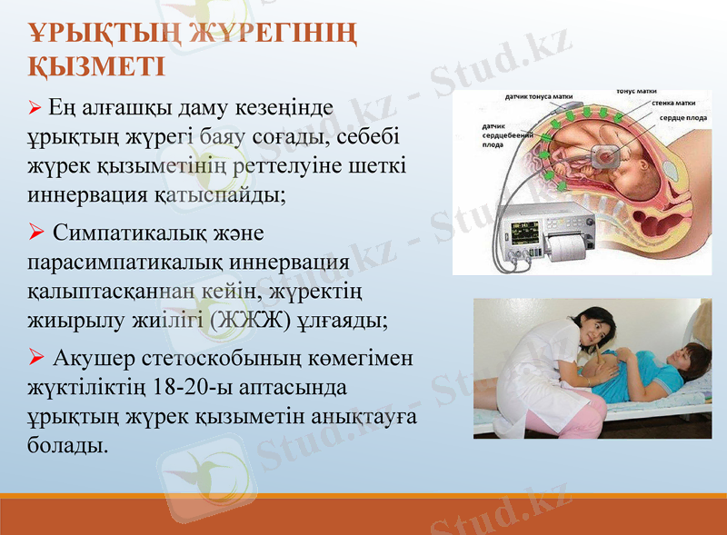Slide 14