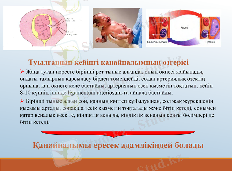Slide 15